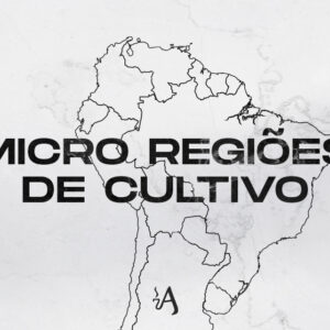 Conheça as Micro-Regiões tabaqueiras.